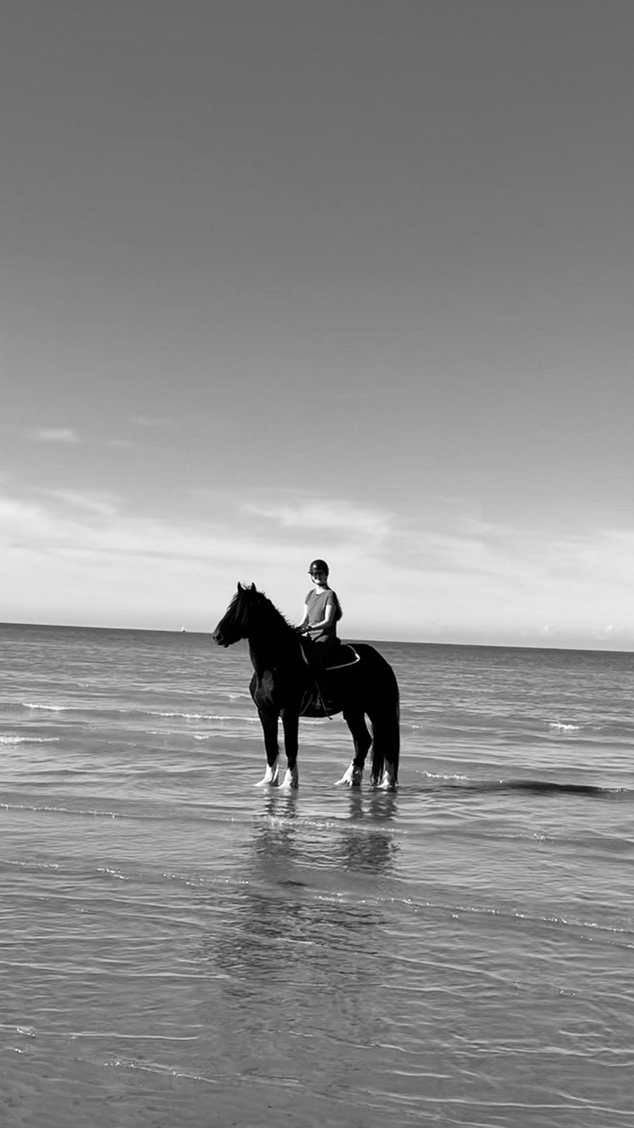 Allround paard, Ophalen, Recreatie