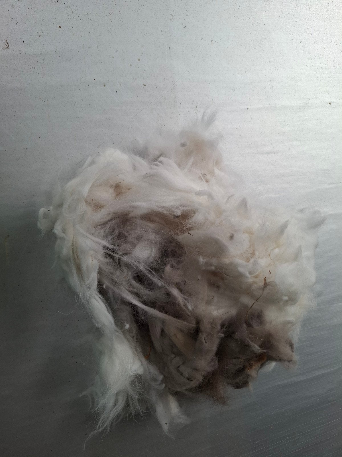 angora wol van konijn, Ophalen of Verzenden, Nieuw, Spinwol
