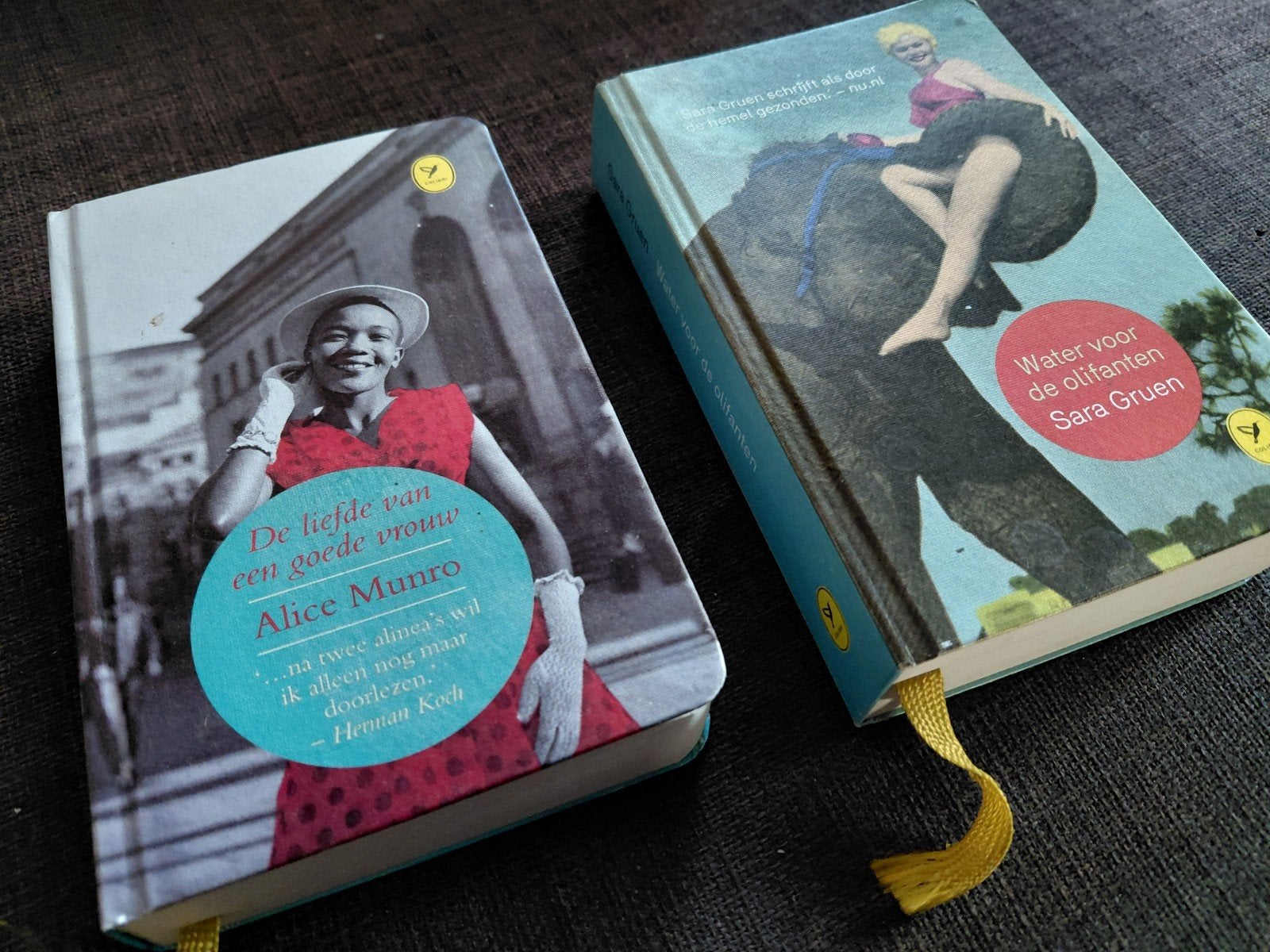 2 Colibri boeken: Alice Munro en Sara Gruen, Ophalen of Verzenden, Zo goed als nieuw, Alice Munro, Sara Gruen