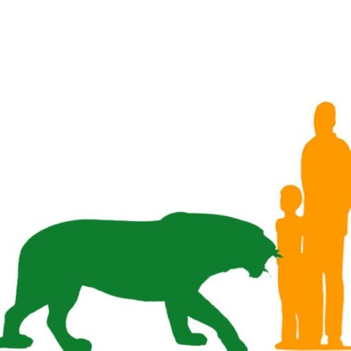 Safari Decoratie beelden, Ophalen of Verzenden, Nieuw, Dier