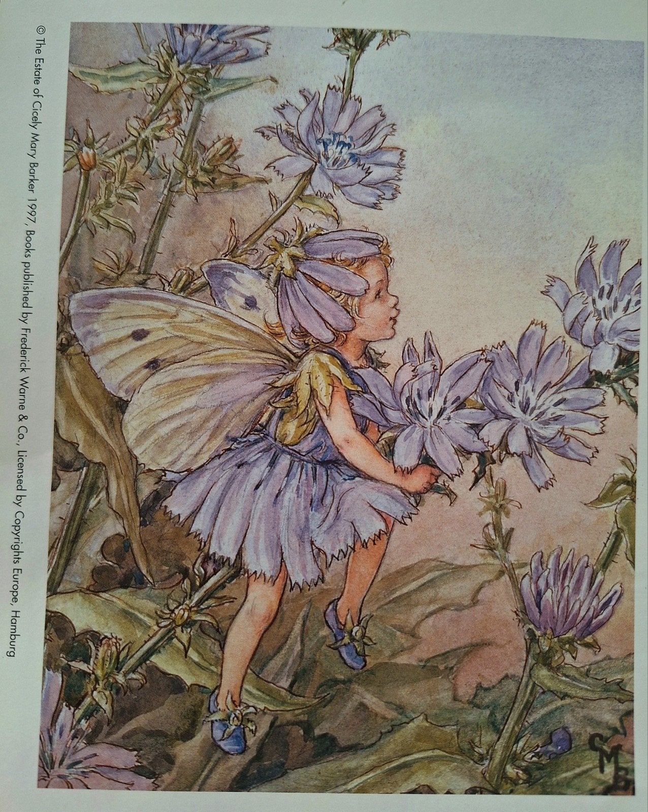 flower fairies plaatjes, Ophalen of Verzenden, Zo goed als nieuw, Fantasie, Knipvel