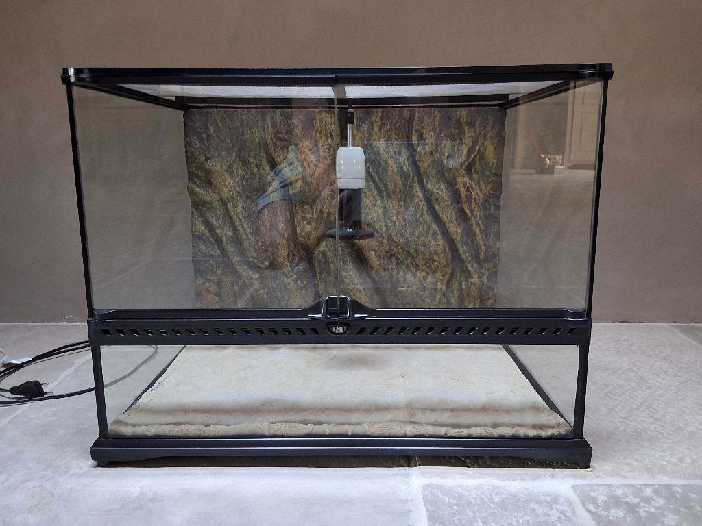 Terrarium Exo Terra met luipaardgekko, Dieren en Toebehoren, Reptielen en Amfibieën | Toebehoren, Ophalen