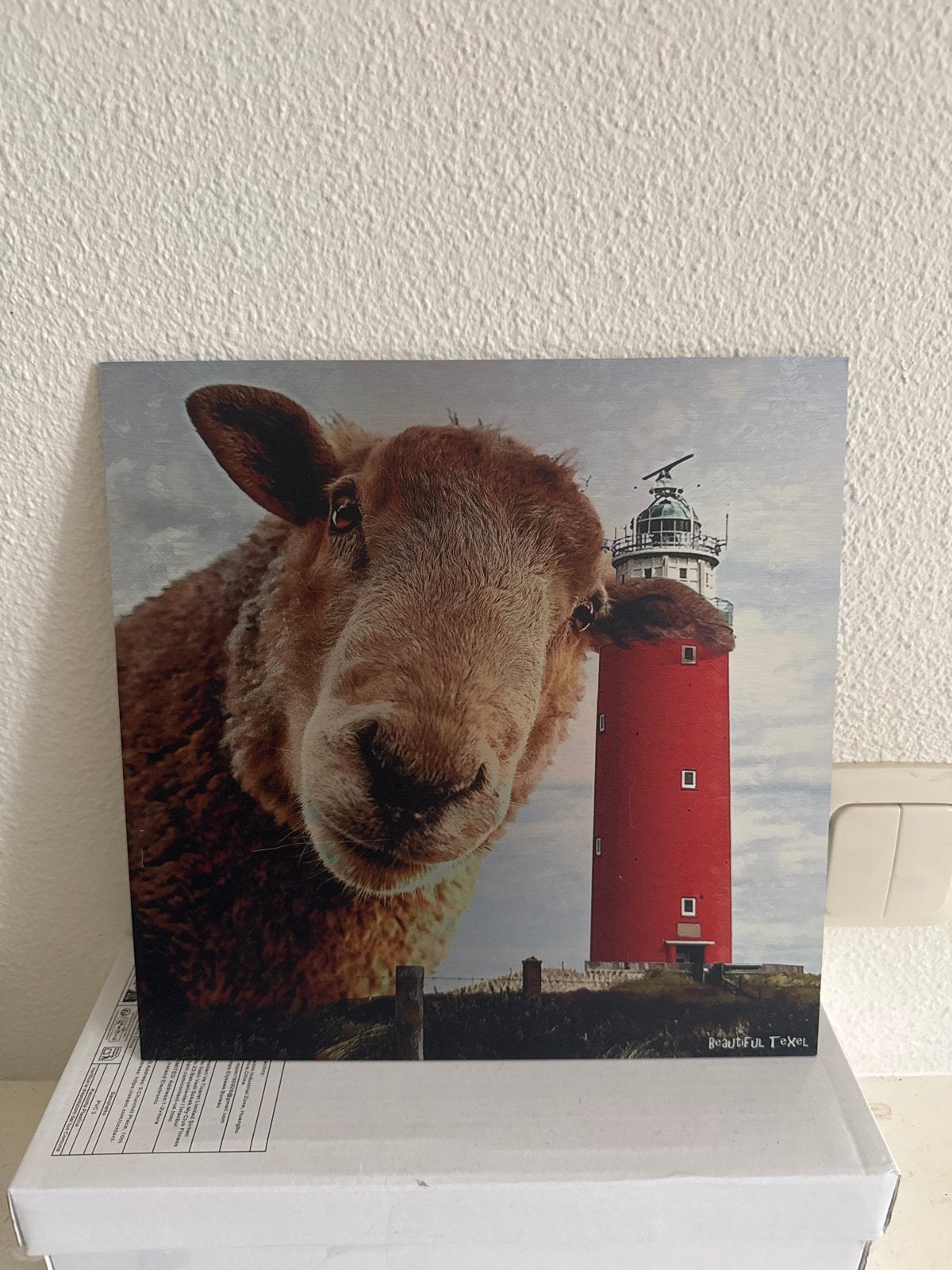 Wanddecoratie Texel Schaap en Vuurtoren, Minder dan 50 cm, Verzenden, Nieuw, Print