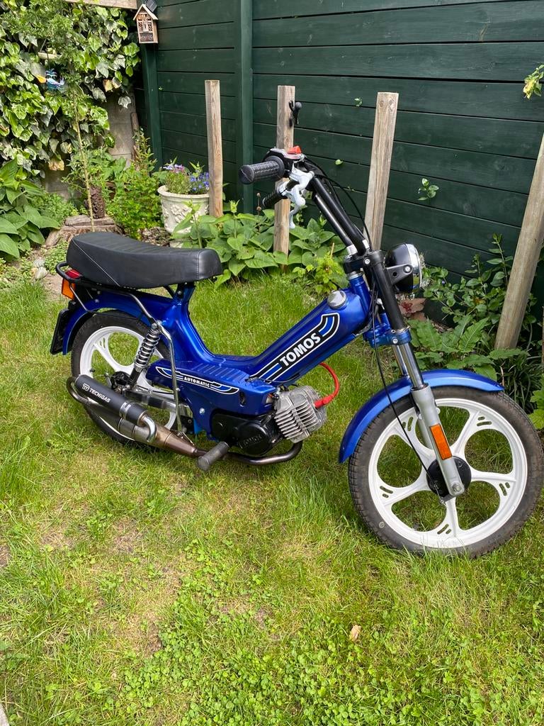 Nette tomos 65cc, Fietsen en Brommers, Brommeronderdelen | Algemeen, Nieuw, Cilinder, Ophalen