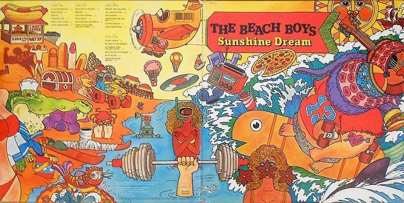 Beach Boys Sunshine Dream - compilatie dubbel album met hits, Ophalen of Verzenden, Pop, 12 inch, Dubbel-LP