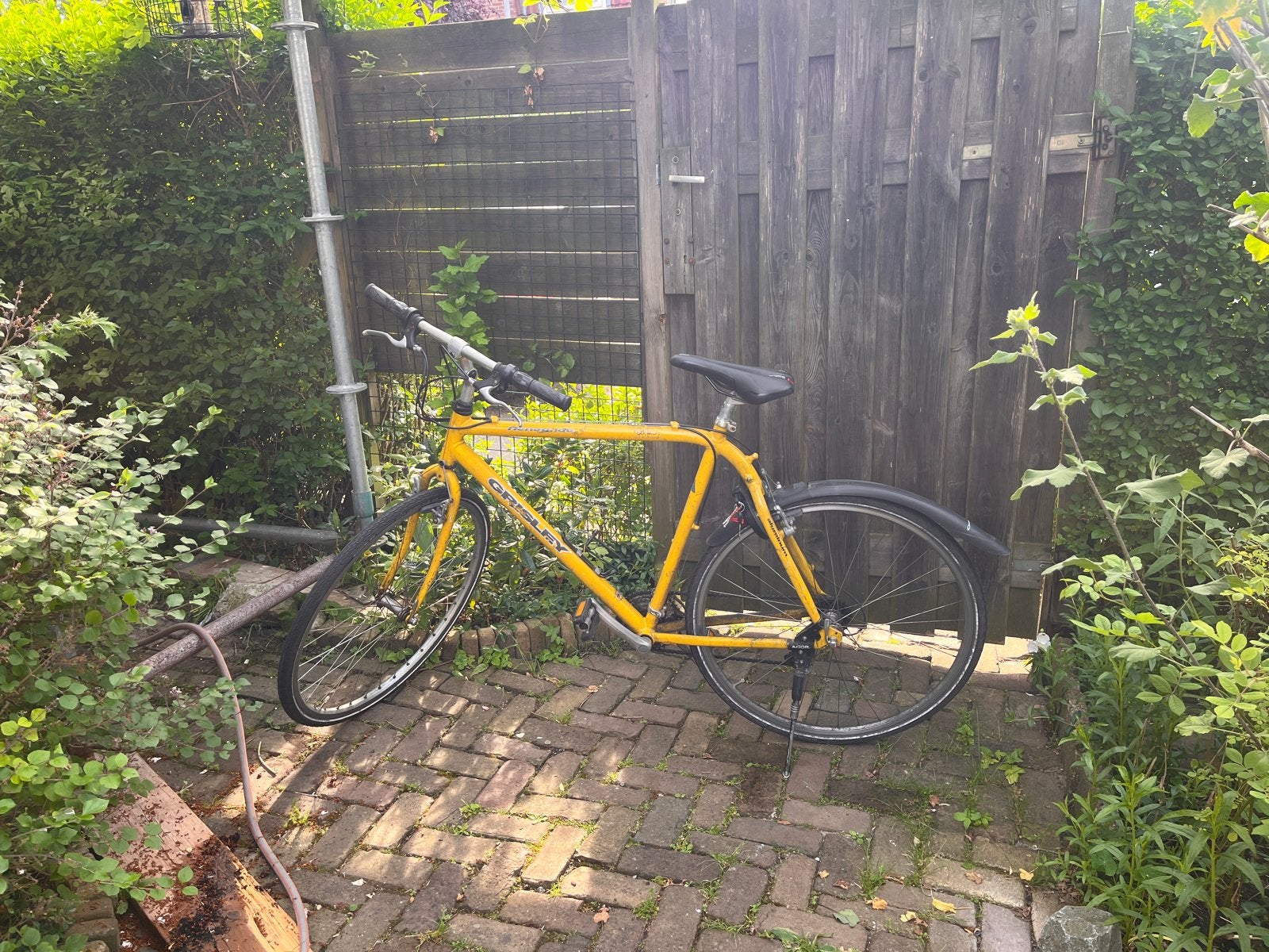 Gele herenfiets met versnellingen, Gebruikt, Velgrem, Versnellingen, 57 tot 61 cm