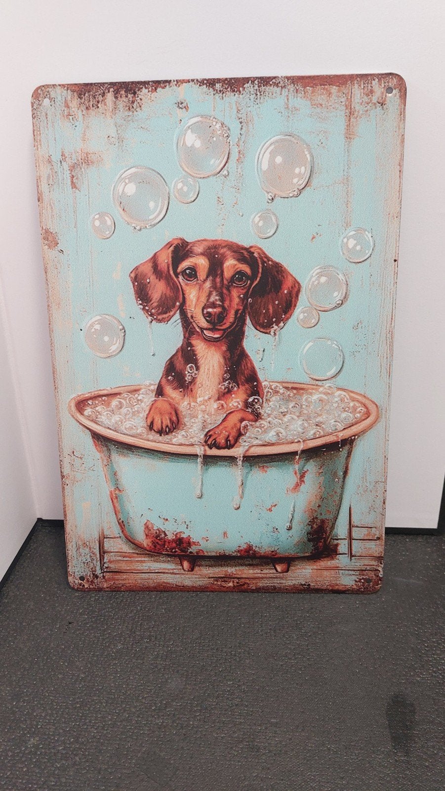 Decoratief bord Teckel in bad 20x30cm, Huis en Inrichting, Vintage, Meerkleurig, Nieuw, Ophalen of Verzenden