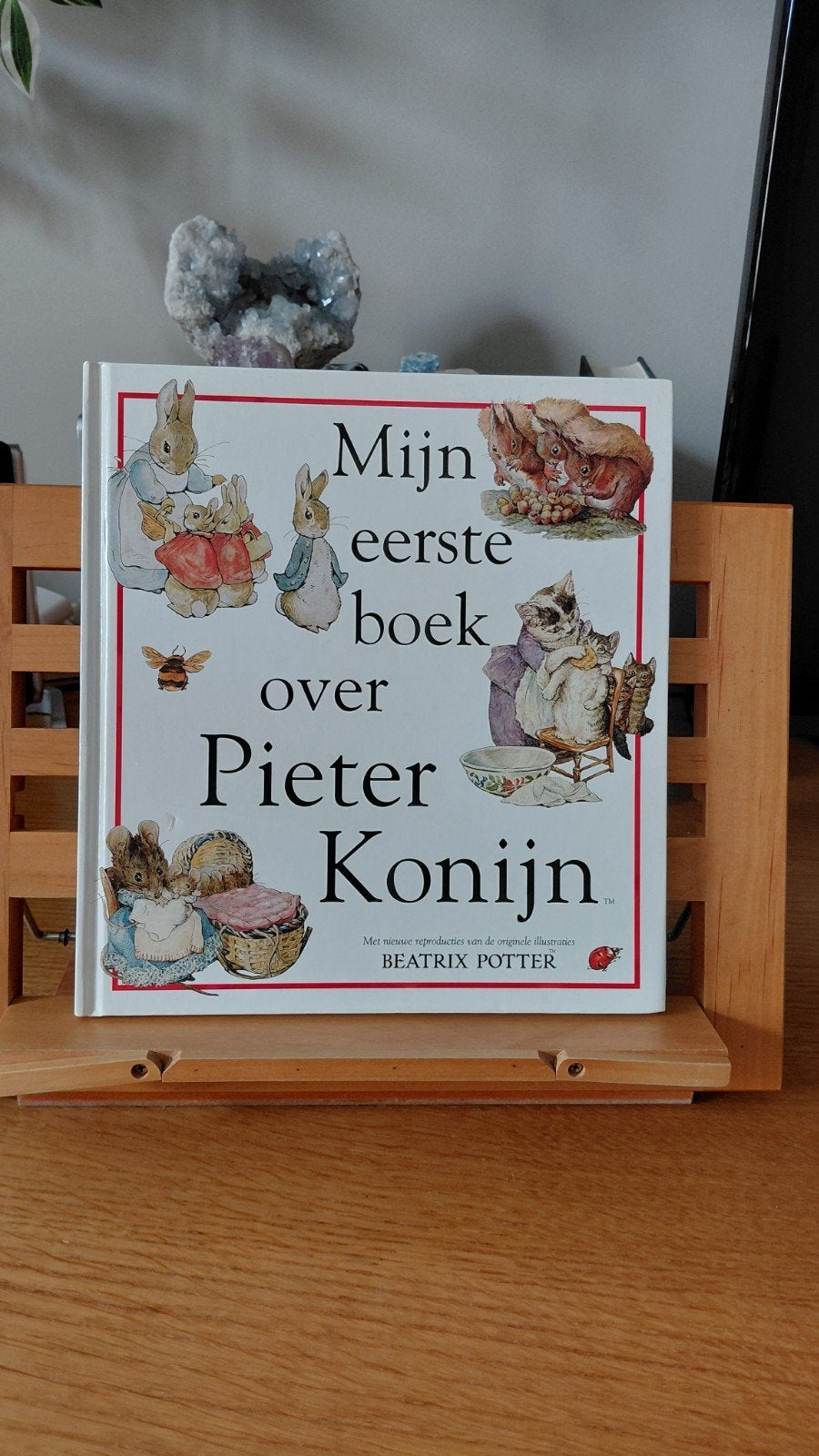 Mijn eerste boek over Pieter Konijn - Beatrix Potter, Boeken, Gelezen, Fictie algemeen, Beatrix Potter, Jongen of Meisje