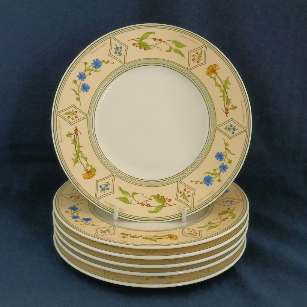 Villeroy & Boch Eden - 6 gebaksbordjes, Villeroy & Boch, Ophalen of Verzenden, Zo goed als nieuw, Bord(en)