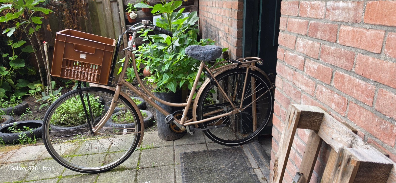 aangeboden batavus damesfiets 28inch, Ophalen, Terugtraprem, 53 tot 56 cm, Batavus
