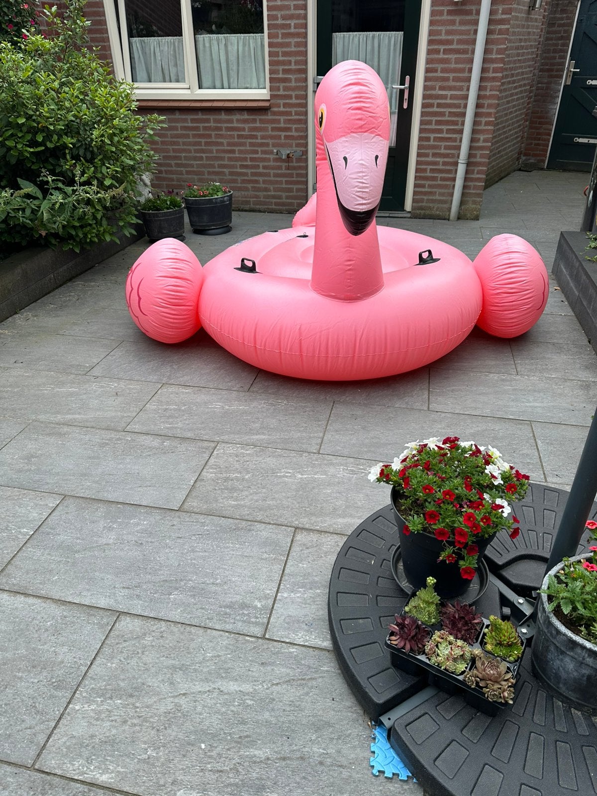 Mega flamingo opblaas eiland., Ophalen of Verzenden, Gebruikt