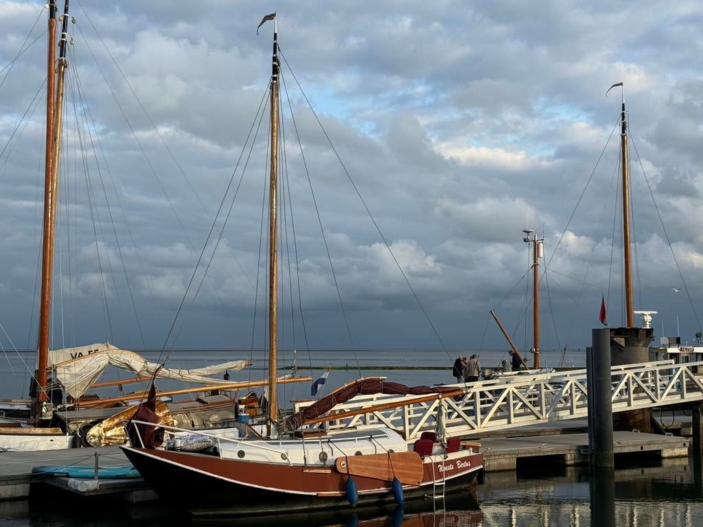 Tholense schouw ‘Woeste Bertus’ 10 meter, Watersport en Boten, Ophalen, Gebruikt, Staal, Diesel