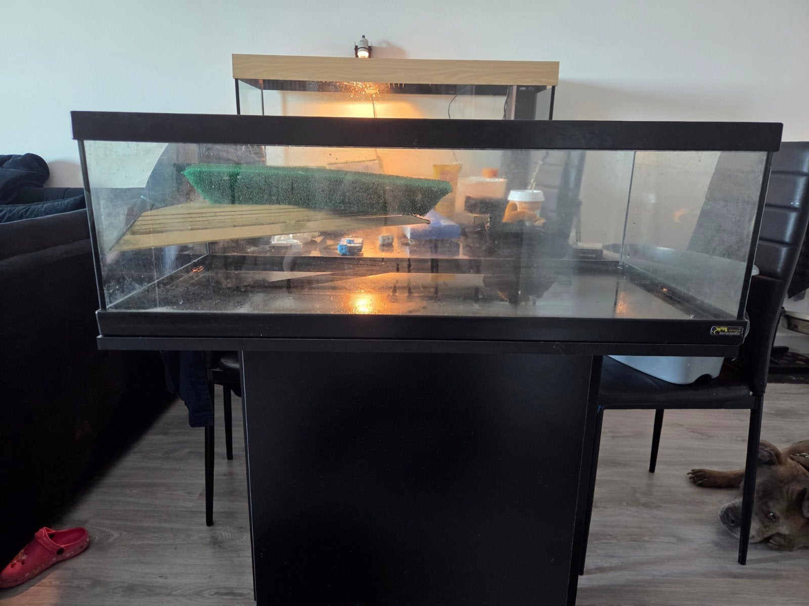 Schildpadden terrarium, Ophalen, Verwarming, Gebruikt, Leeg aquarium