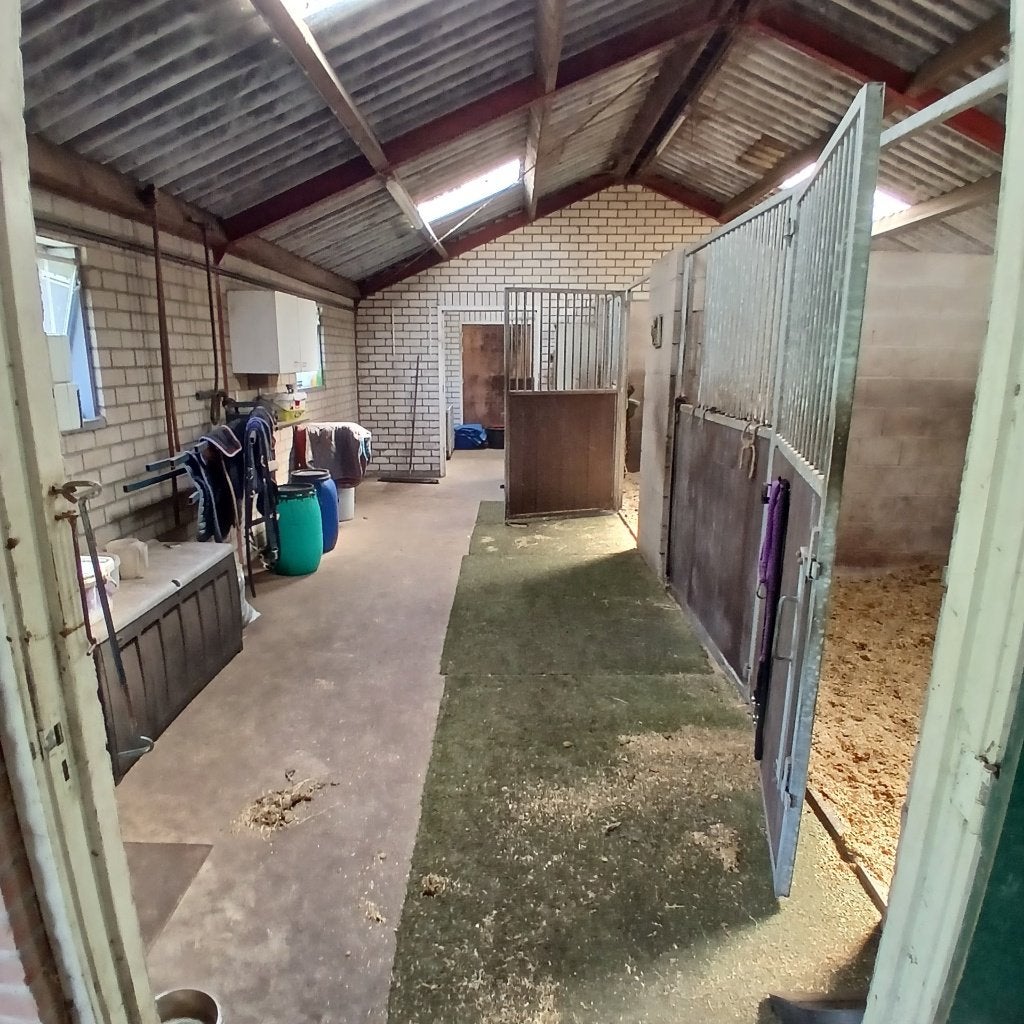 stalling, weide, evt wonen, Dieren en Toebehoren, Stalling, 4 paarden of pony's of meer