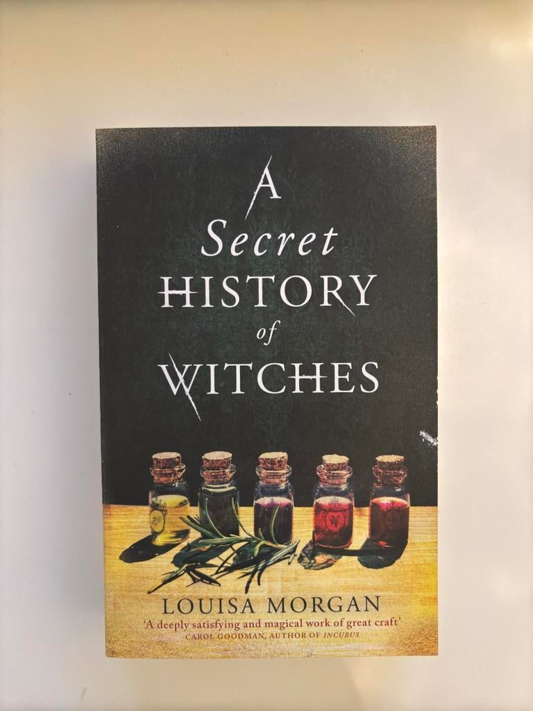 A Secret History of Witches boek, Ophalen of Verzenden, Gelezen