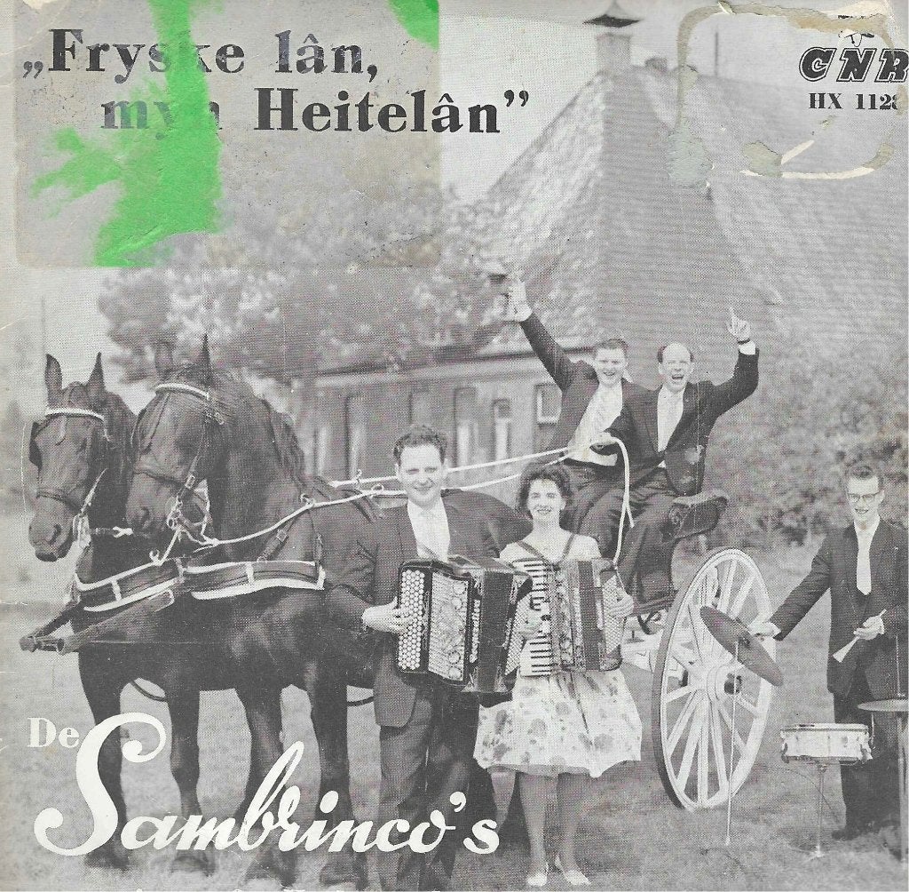 vinyl single  De Sambrinco's, Ophalen of Verzenden, Gebruikt, Pop