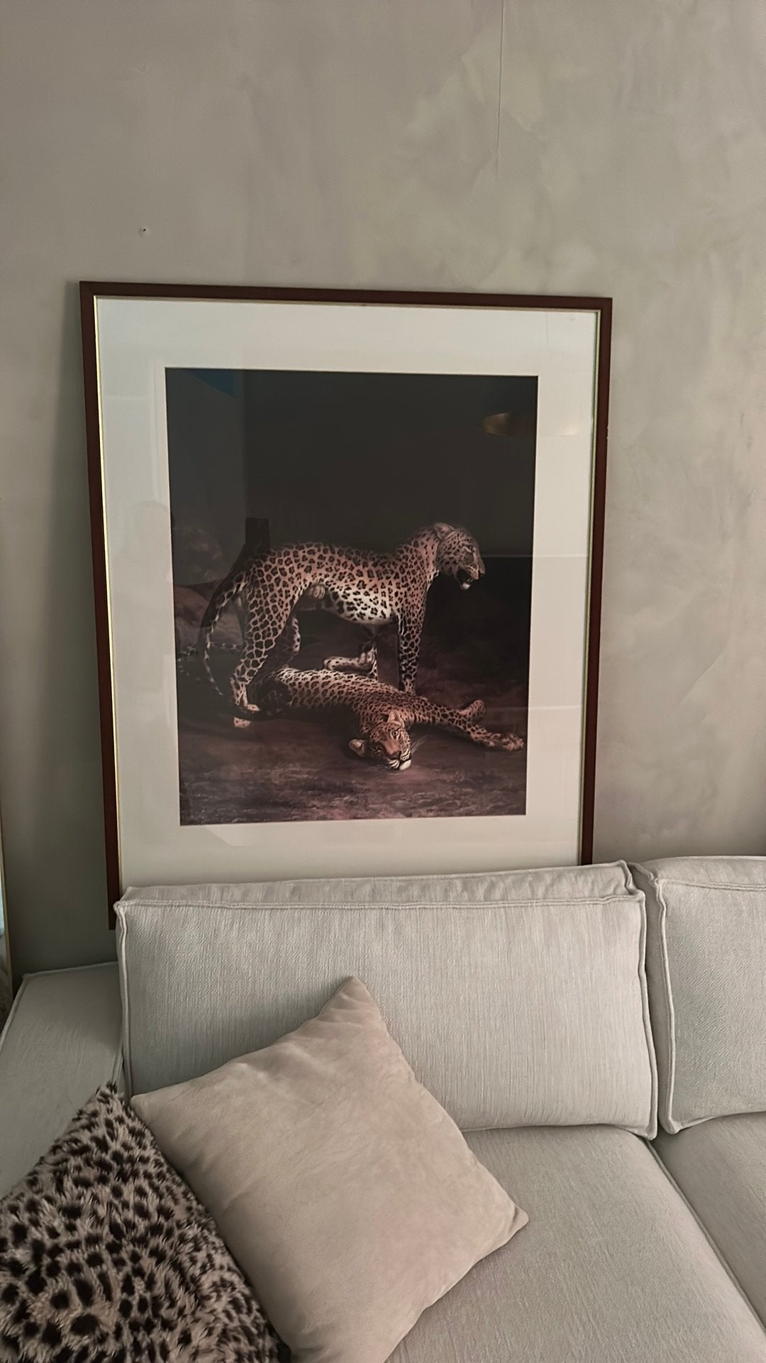Ingelijste print van luipaarden - 84x104 cm, Ophalen, Print, Print/reproductie, Achter glas