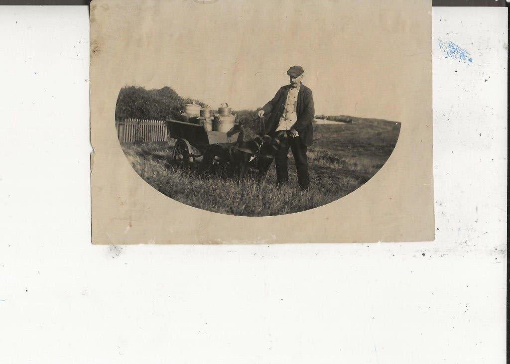 naaldwijk Melkboer Chiel van der Hoeven met hondenkar Foto, Ophalen of Verzenden, Voor 1920, Ongelopen, Zuid-Holland