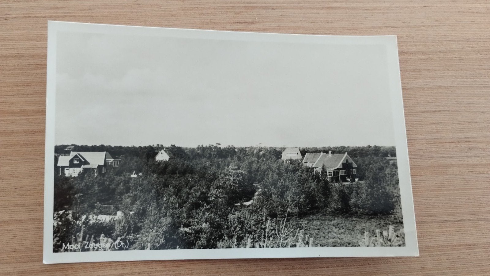 Oude ansichtkaart Mooi Zeegse (Dr.), Verzamelen, Ophalen of Verzenden, 1960 tot 1980, Ongelopen, Drenthe