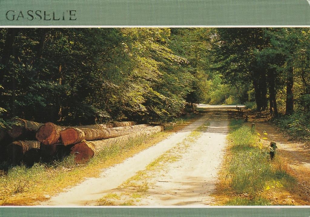 Ansichtkaart Gasselte, Verzamelen, Ansichtkaarten | Nederland, Ophalen of Verzenden, 1980 tot heden, Gelopen, Drenthe