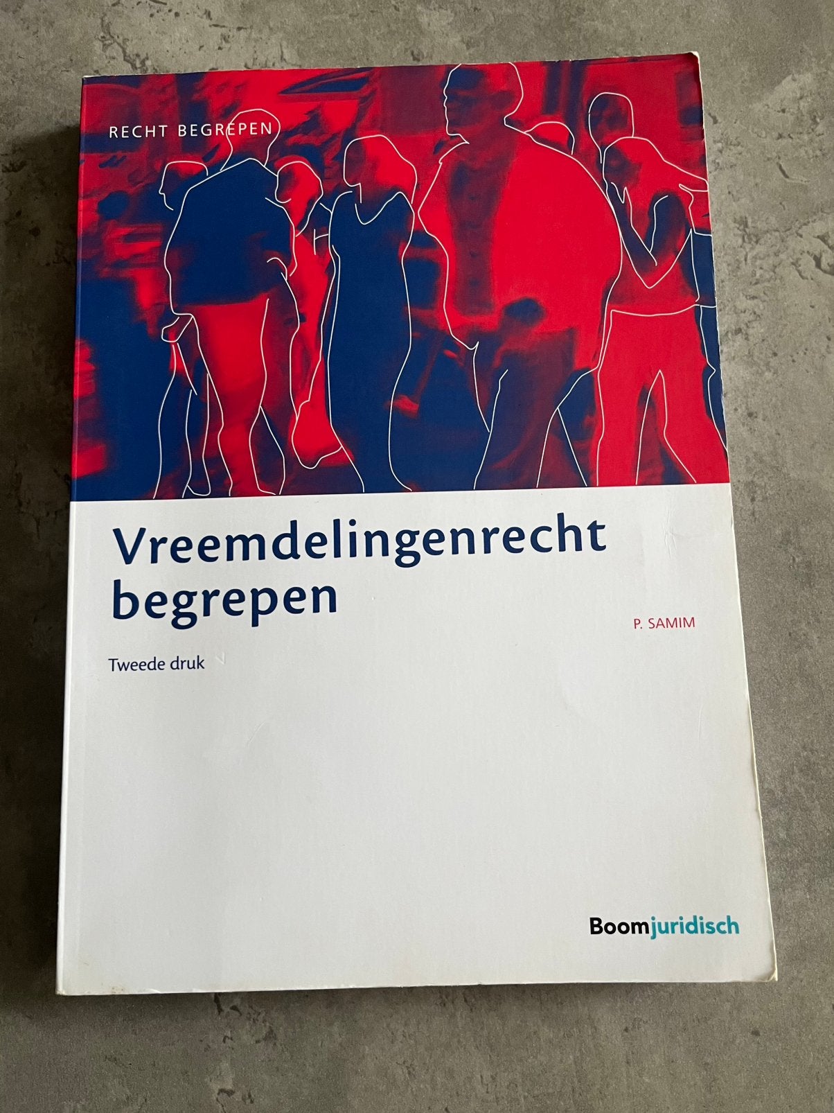 Vreemdelingenrecht begrepen, Boeken, Ophalen of Verzenden, Beta, Zo goed als nieuw, HBO