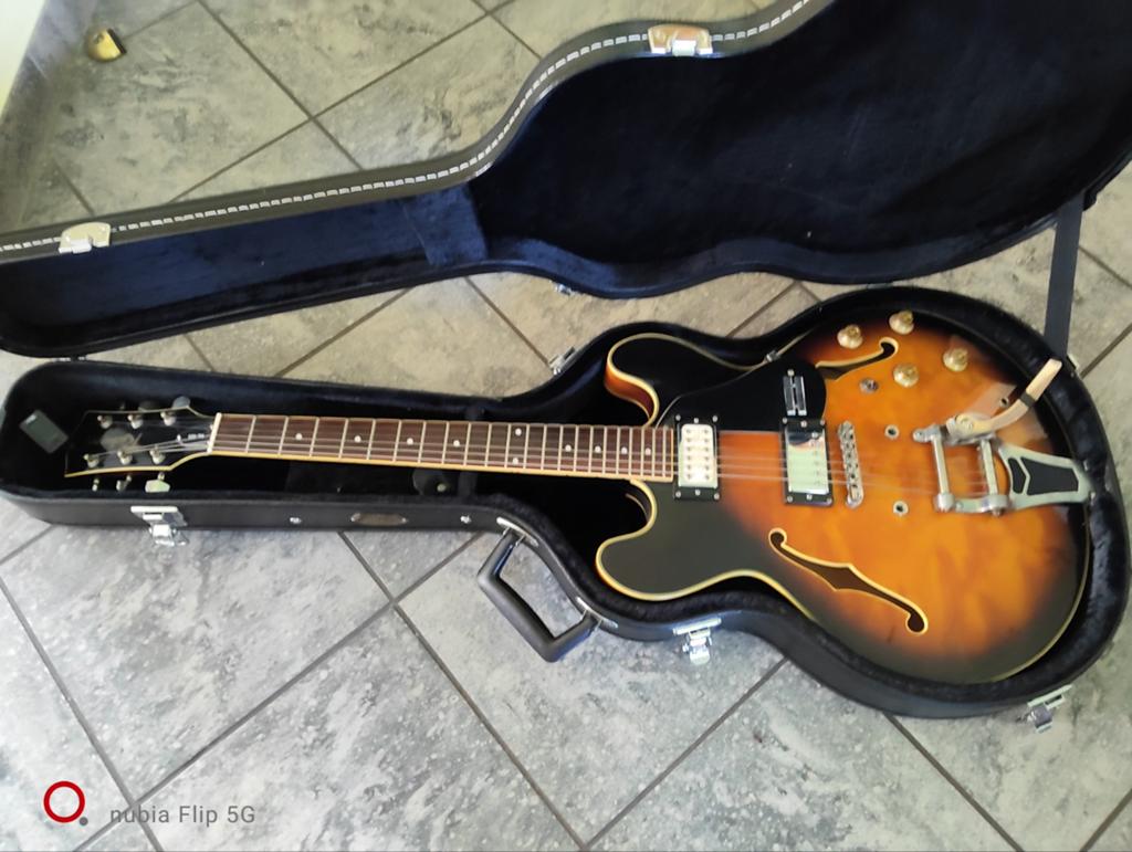 Richwood RE-400 Superswinger (ES-335 model) met Tremolo + Ha, Ophalen of Verzenden, Zo goed als nieuw