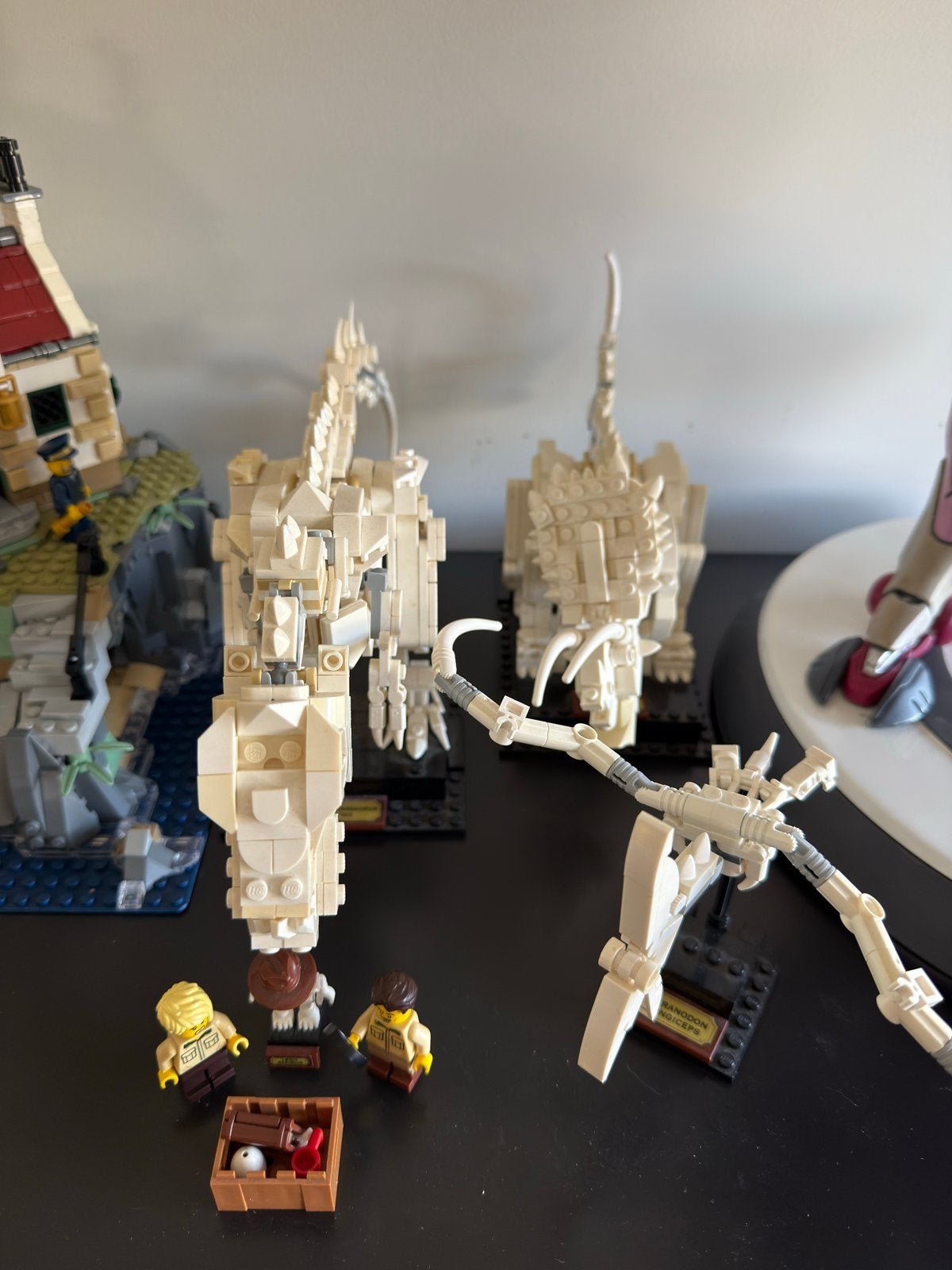 LEGO Ideas 21320 Dinosaurusfossielen, Ophalen, Gebruikt, Overige merken