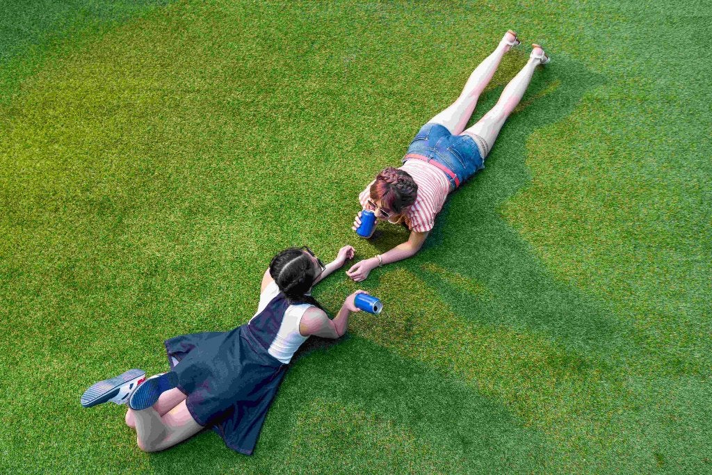 Verse Graszoden nu bestellen & Vrij/Za afhalen, Ophalen, Info@koopgraszoden.nl, 20 m² of meer, Www.koopgraszoden.nl