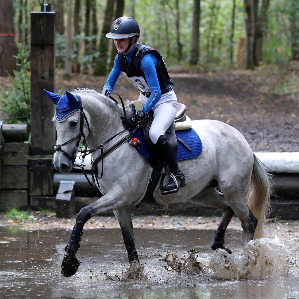 GEZOCHT LEMIEUX, Dieren en Toebehoren, Paarden en Pony's | Dekens en Dekjes, Ophalen of Verzenden