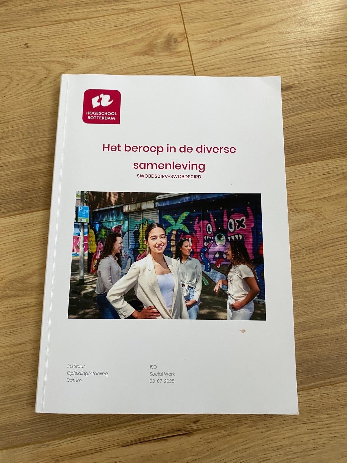 Het beroep in de diverse samenleving - Social Work, Ophalen of Verzenden, Gamma, Zo goed als nieuw, HBO