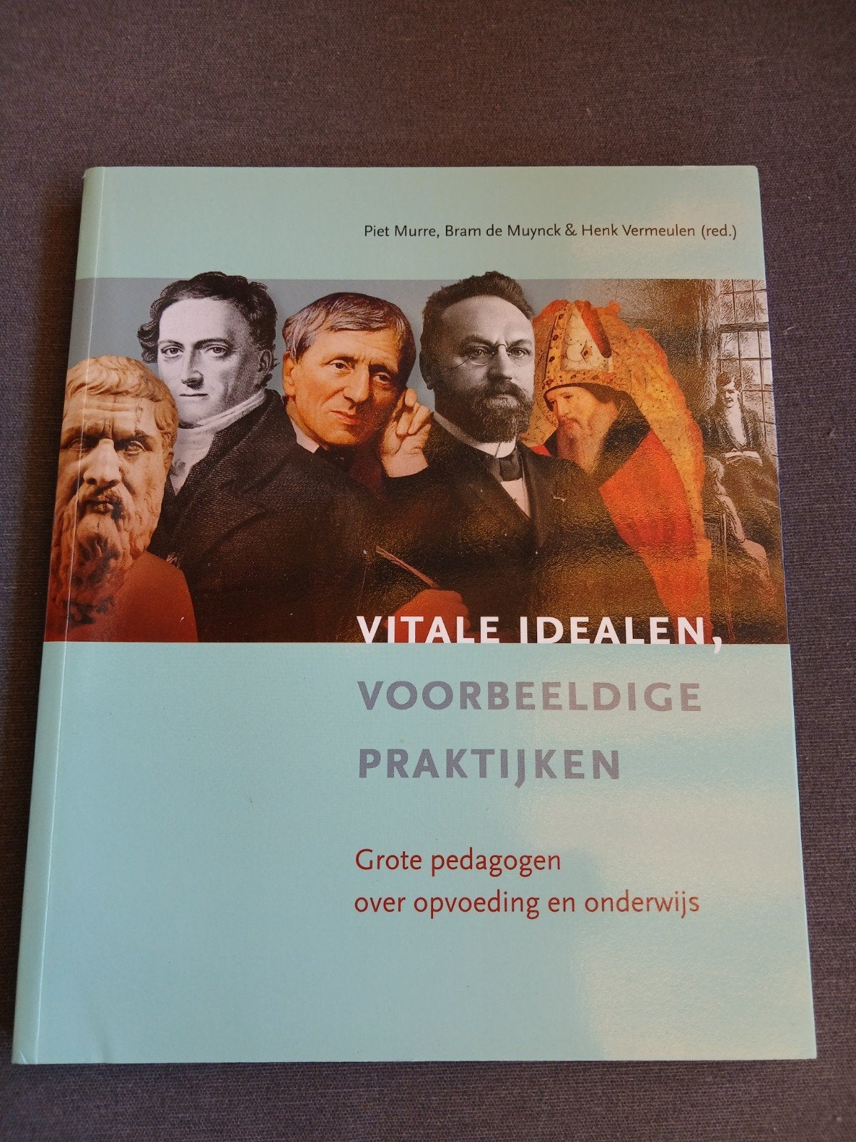 Vitale idealen, voorbeeldige praktijken, Ophalen of Verzenden, Zo goed als nieuw, Sociale wetenschap