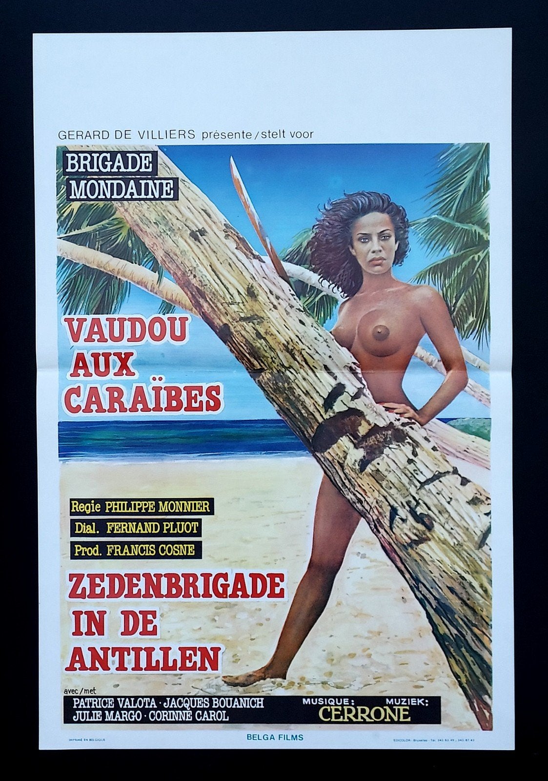 Vamos a la playa Part 2: Caraïben en hardcore posters, Verzenden, Nieuw, A1 t/m A3, Film en Tv