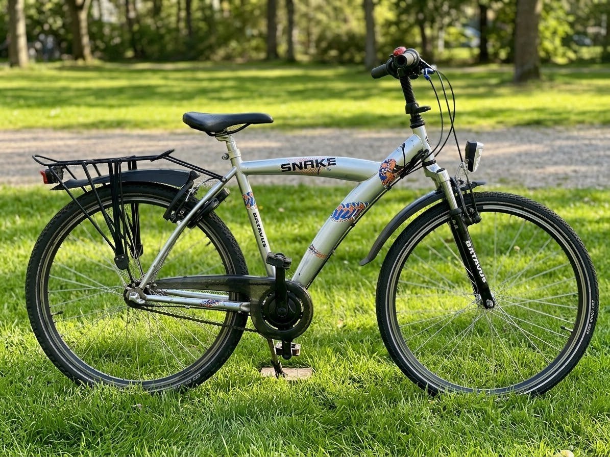 Batavus snake 26 inch, Ophalen, Gebruikt, 26 inch of meer, Versnellingen