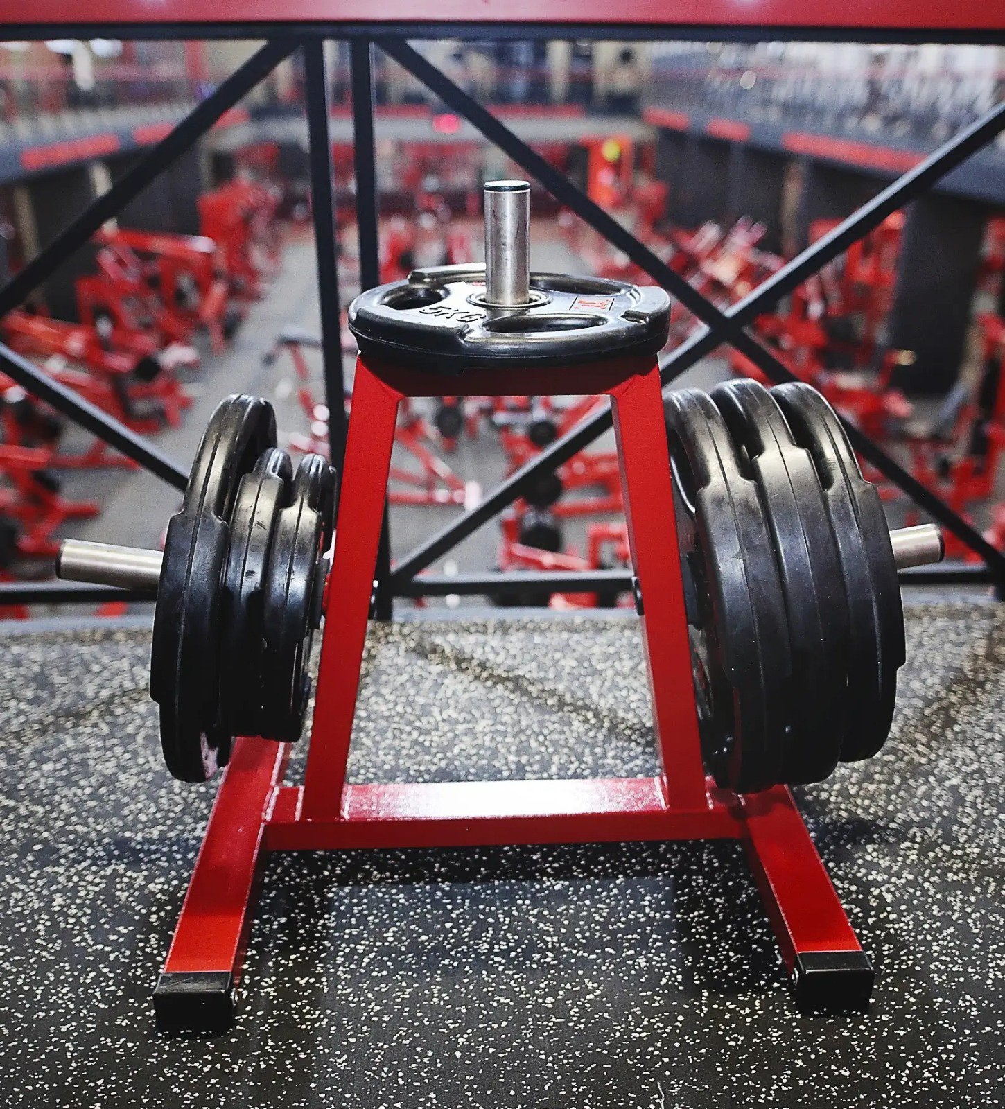 Compact Plate Rack Halterschijven Fitness Sport GymFactory, Ophalen of Verzenden, Nieuw, Benen, Halterschijven