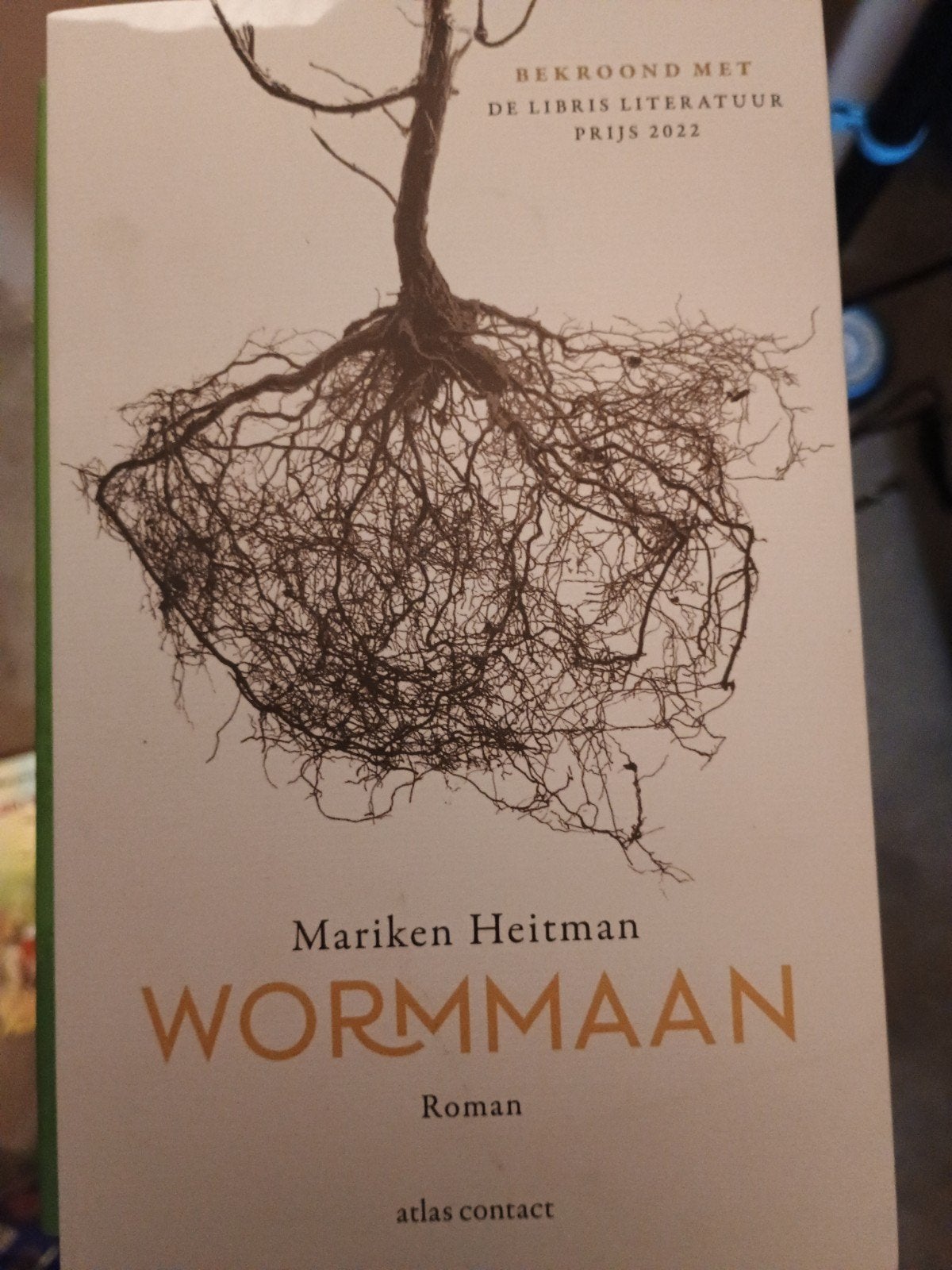 Mariken Heitman - Wormmaan, Boeken, Literatuur, Zo goed als nieuw, Ophalen of Verzenden