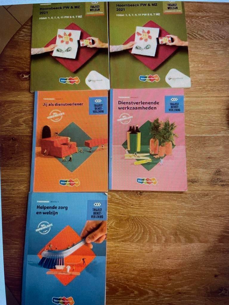 Hoornbeeck boeken voor helpende plus., Boeken, Ophalen of Verzenden, Gelezen, Overige niveaus, Overige vakken