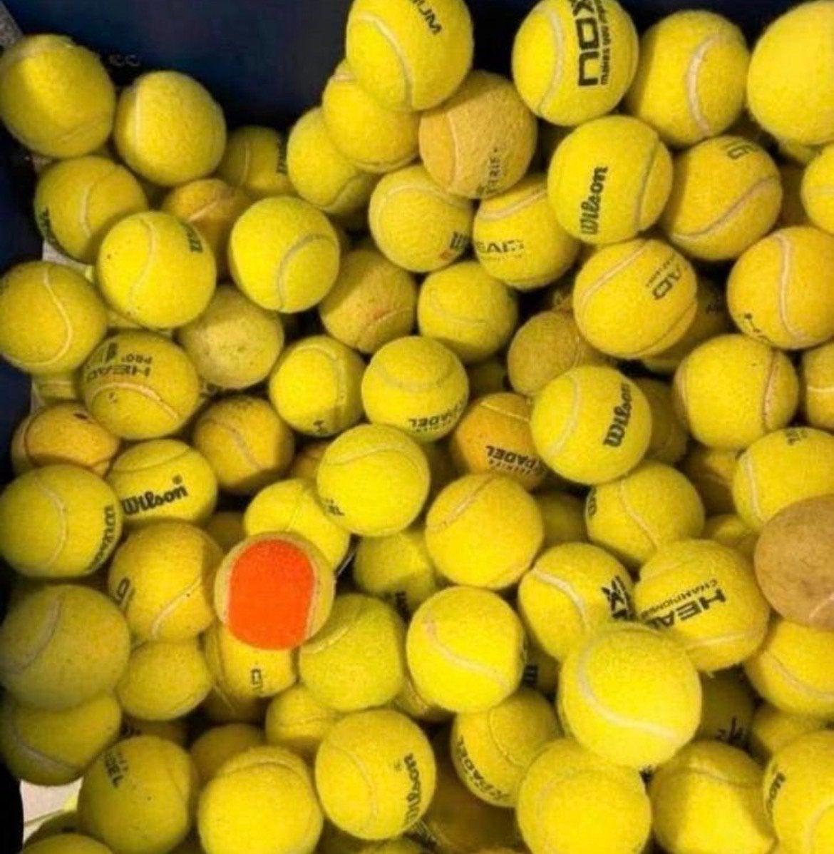 Partij gebruikte tennisballen (Wilson, Head, Dunlop), Overige merken, Gebruikt, Ballen, L00