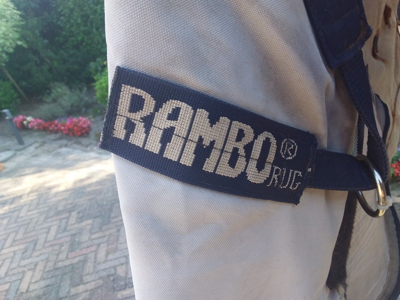 Rambo vliegendeken met vaste hals, Overige maten, Ophalen, Gebruikt