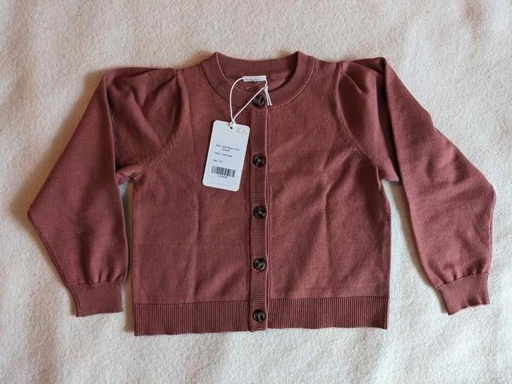PompdeLux vest maat 110 roze bamboe/katoen nieuw met kaartje, Meisje, Trui of Vest, Nieuw, Ophalen of Verzenden