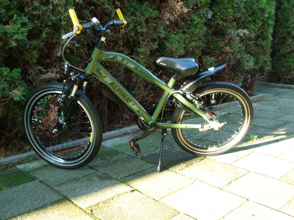ALPINA TRAIL JONGENSFIETS 20 INCH IN MOOIE STAAT, Ophalen, Terugtraprem, Alpina Loekie Popal Batavus Sparta Volare Gazelle Supersuper