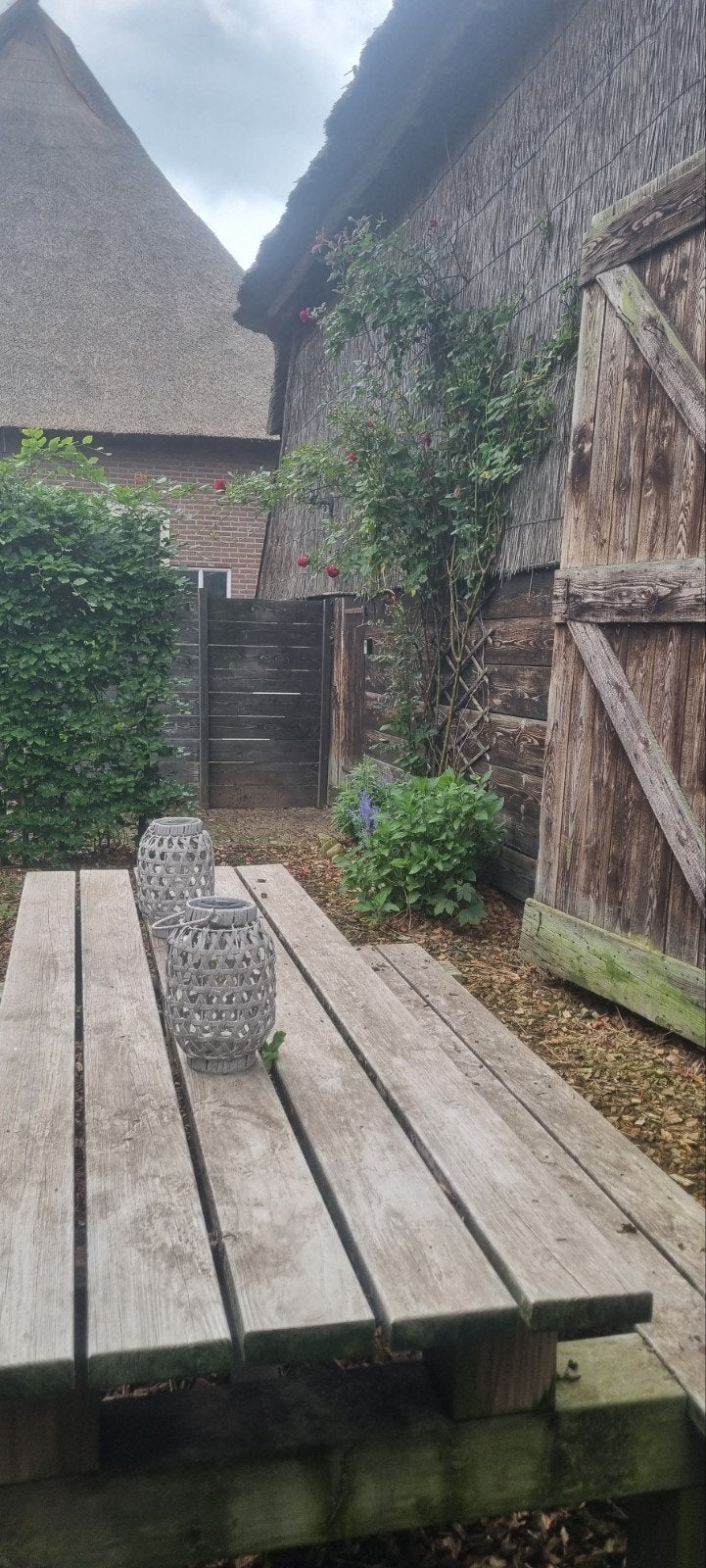 Herfstvakantie !  Knus vakantiehuisje Drenthe, In bos, Landelijk, Boerderij of Cottage, 6 personen