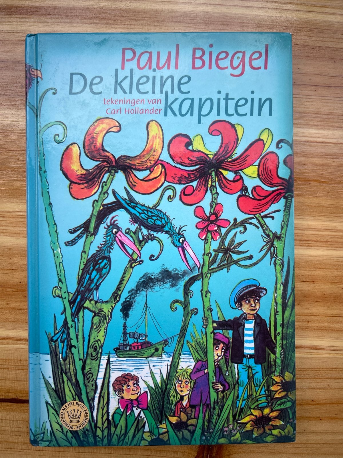 De kleine kapitein - Paul Biegel (kinderboek), Ophalen of Verzenden, Gelezen, Fictie algemeen