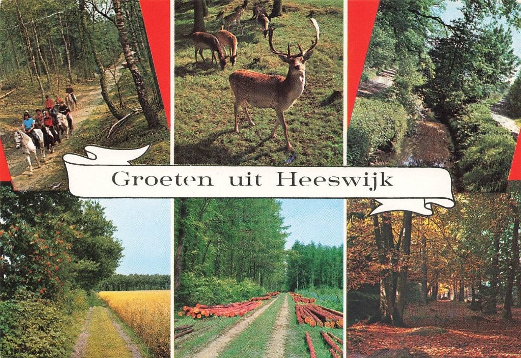 Groeten uit Heeswijk, Ophalen of Verzenden, 1960 tot 1980, Gelopen, Noord-Brabant