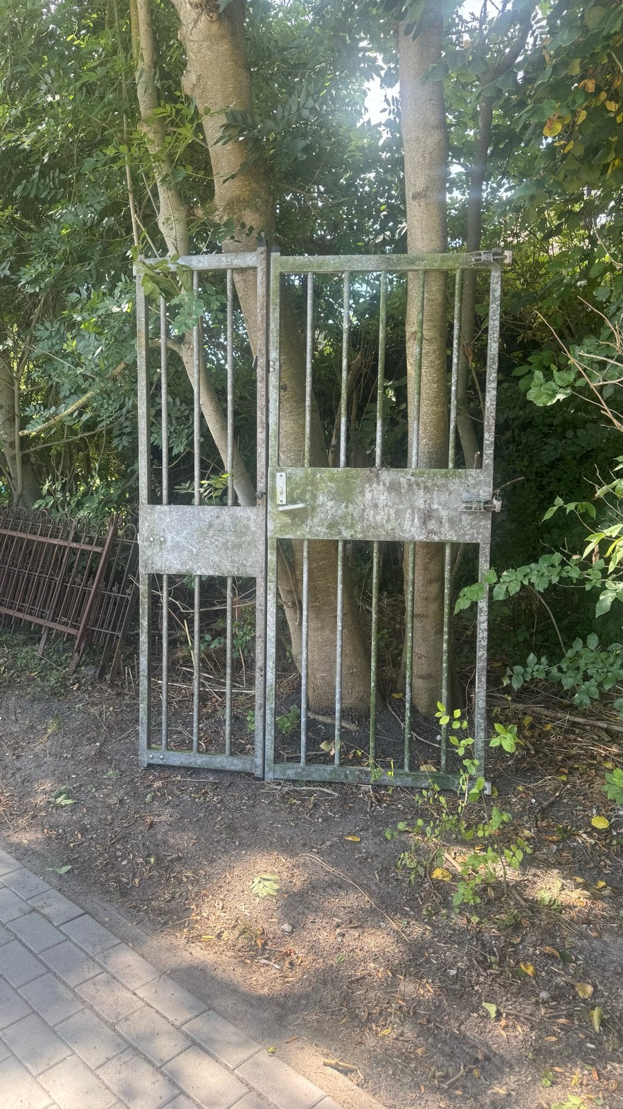 Robuust Toegangshek - Ideaal voor Tuin of Erf, Met poort, Gebruikt, Ophalen of Verzenden, Tuinhek