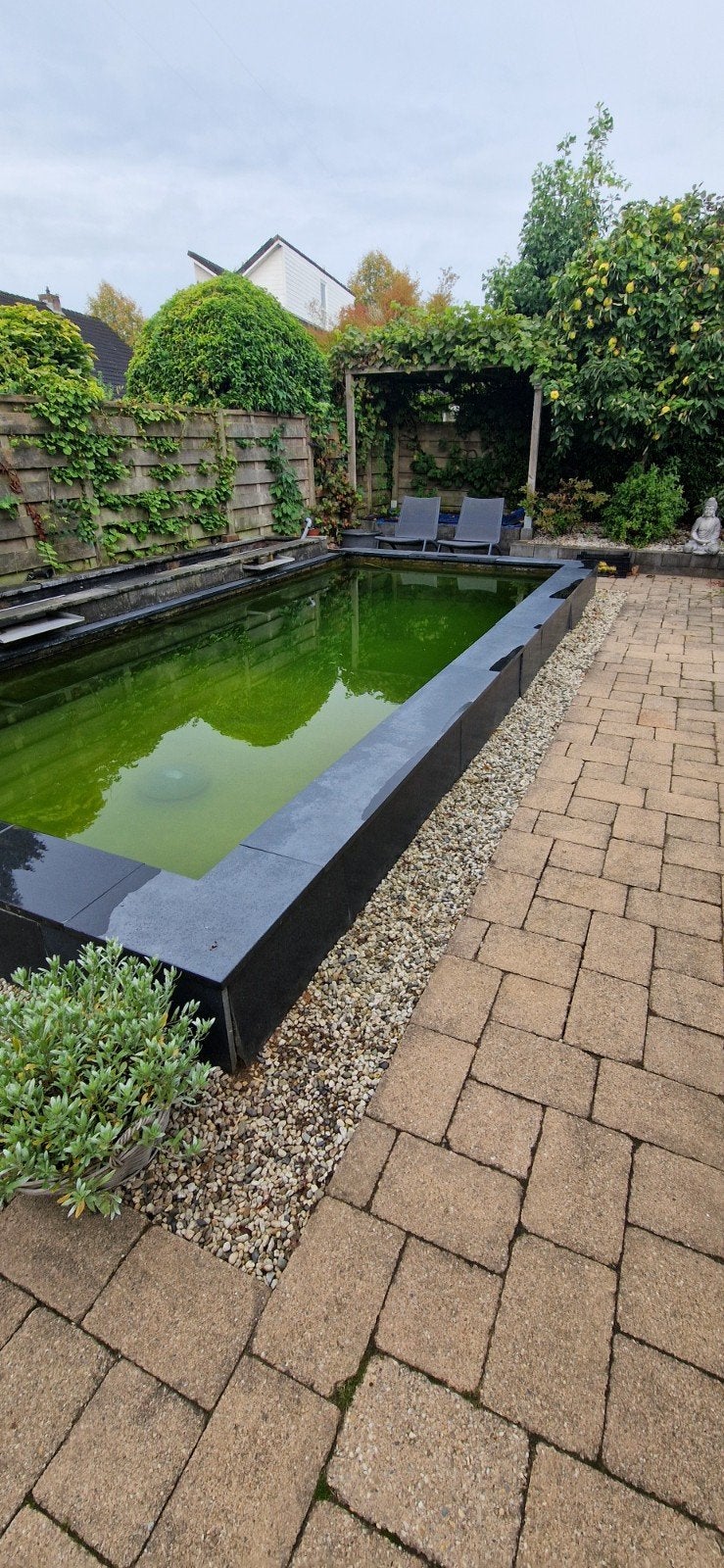 Hardstenen vijverranden -  6x3 mtr 30cm breed 3 cm dik, Tuin en Terras, Ophalen, Gebruikt