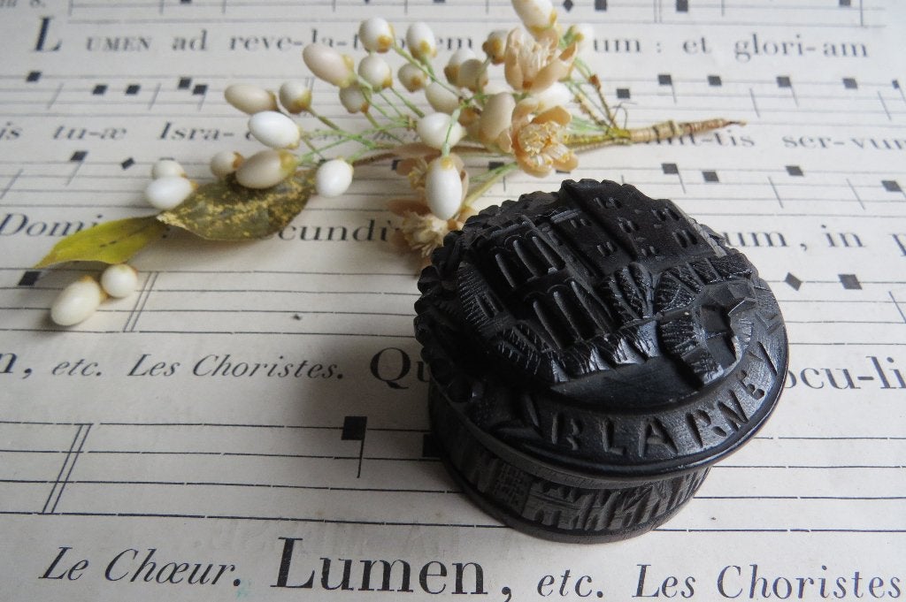 Antiek Iers Bog Oak snuiftabak doosje, Blarney castle, Cork, Ophalen of Verzenden