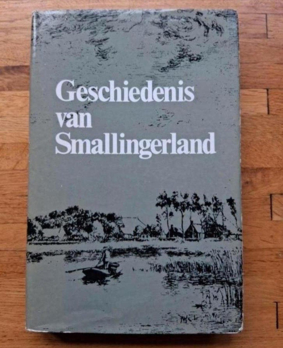 Geschiedenis van Smallingerland
Informatief verzamelwerk, Boeken, Ophalen of Verzenden, Zo goed als nieuw