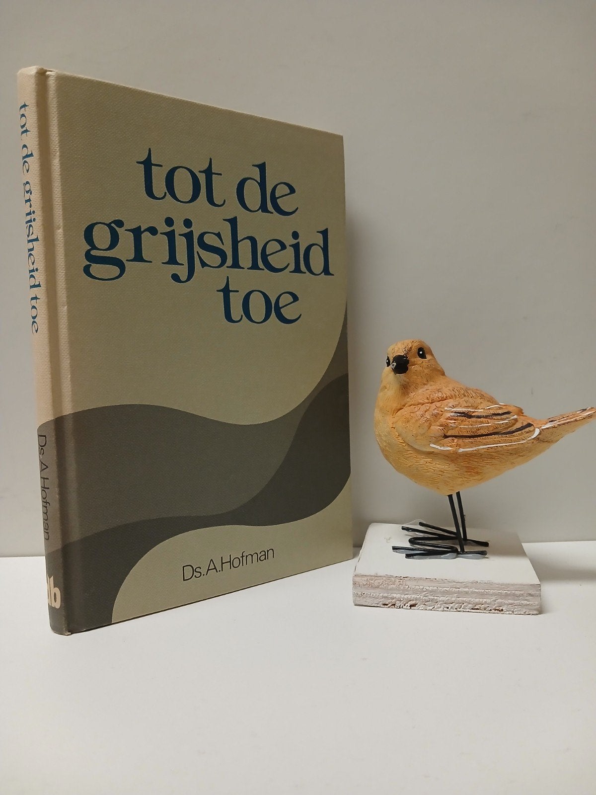 Hofman, Ds. A.; Tot de grijsheid toe, Ophalen of Verzenden, Gelezen, Christendom | Protestants