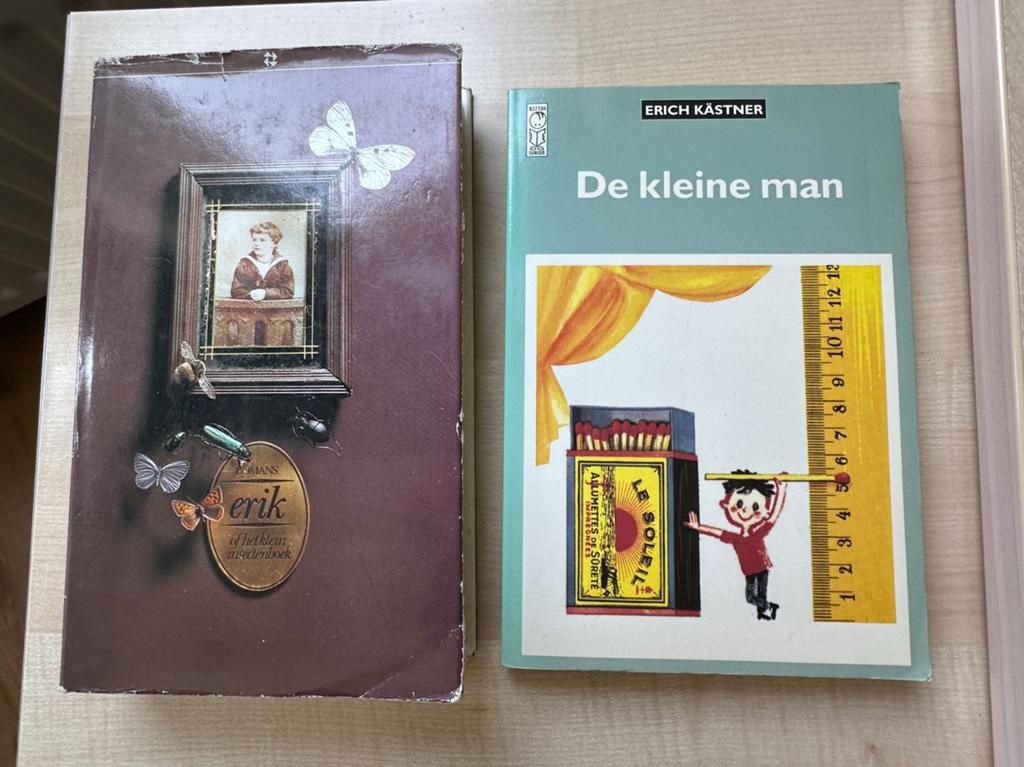 De Kleine Man & Erik of het klein insectenboek - Boeken, Ophalen of Verzenden, Gelezen, Fictie