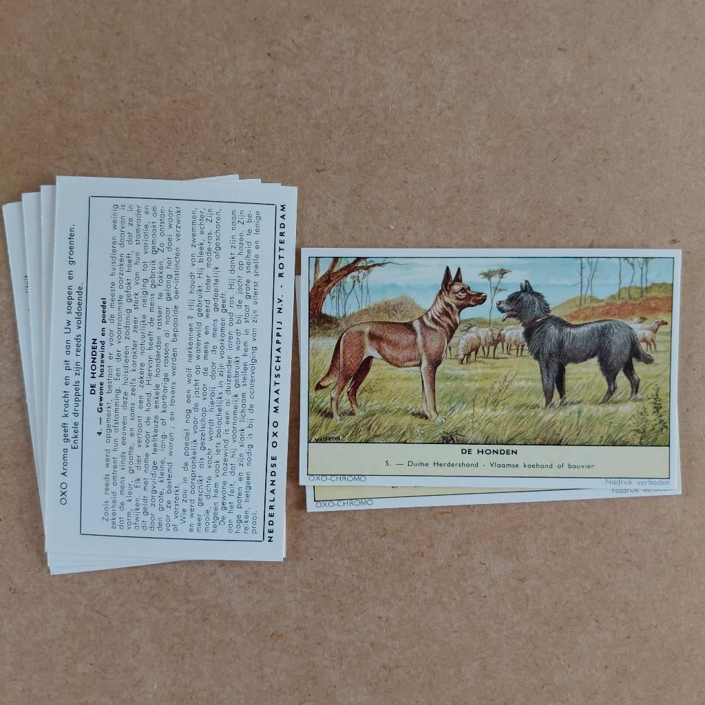 De Honden complete set 6 Liebig Oxo verzamelplaatjes 1961, Ophalen, Gebruikt